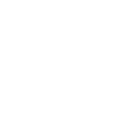 Wellington Dental